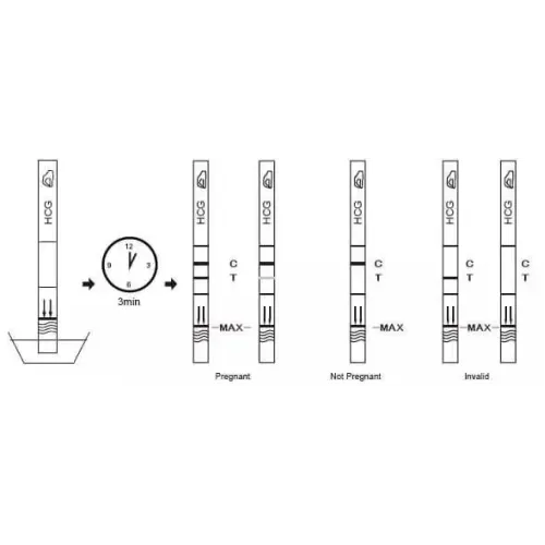 Тест на вагітність ХГЛ